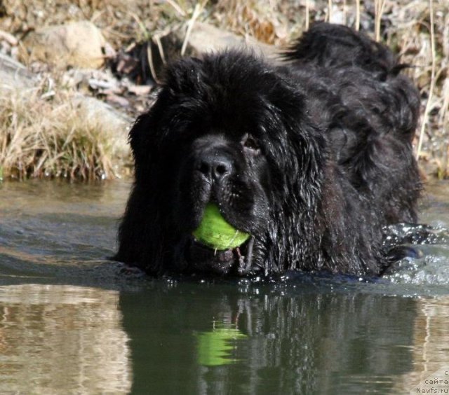 Фотография № 90052