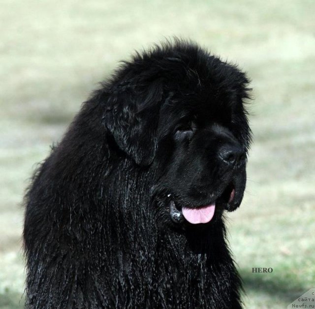 Фотография № 90054