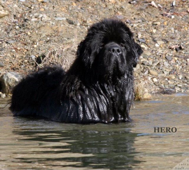 Фотография № 90055