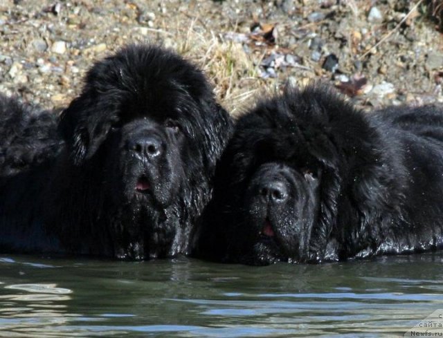 Фотография № 90057