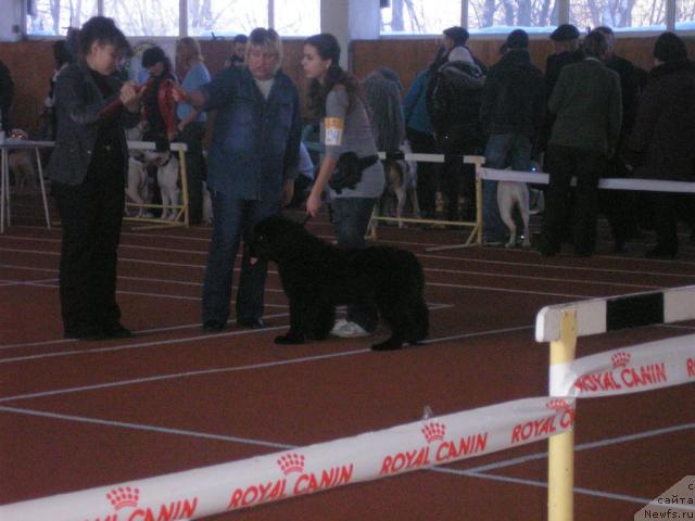 Фотография № 9009