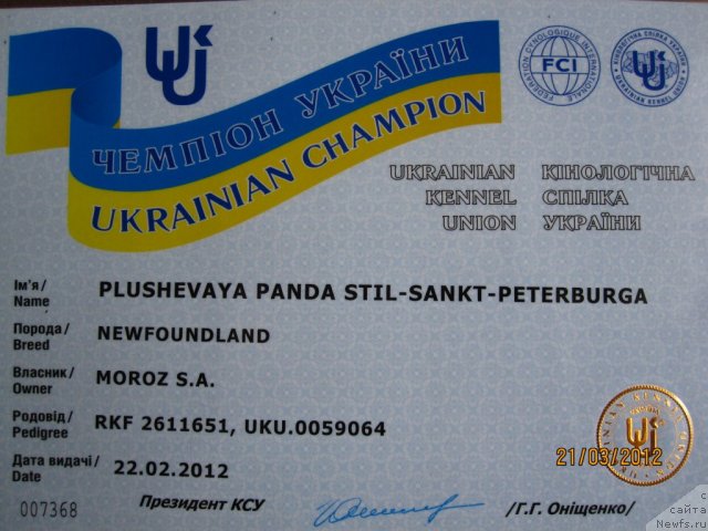 Фото: ньюфаундленд Плюшевая Панда Стиль-Санкт-Петербурга
