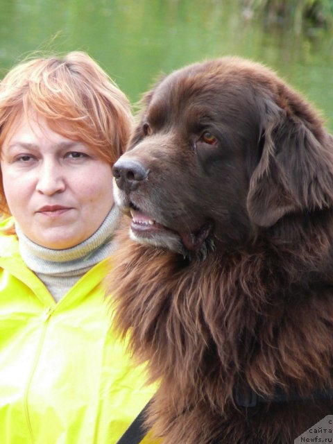 Фотография № 90171