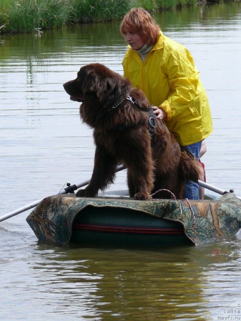 Фотография № 90172