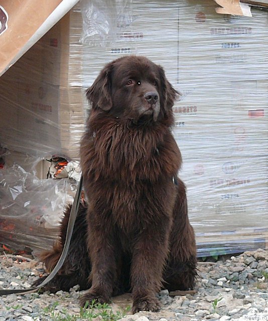 Фотография № 90173