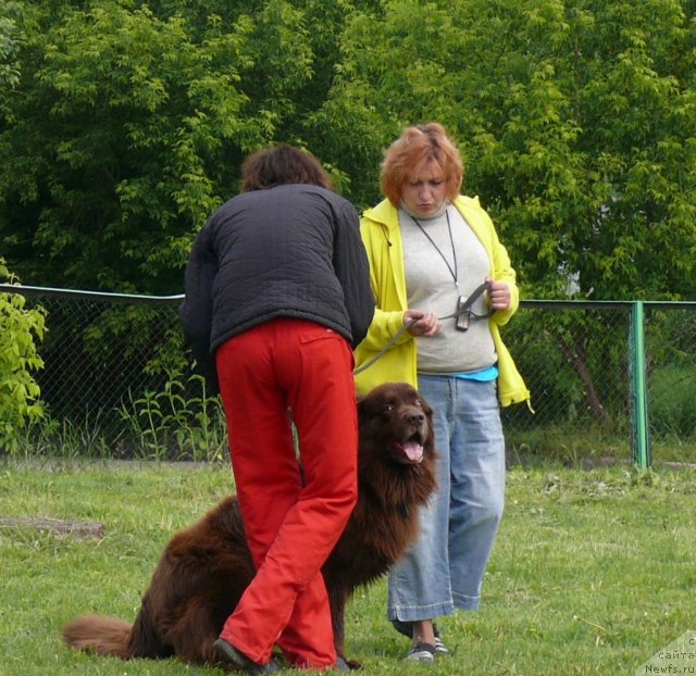 Фотография № 90175