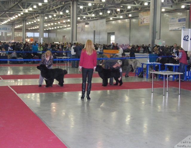 Фотография № 90251