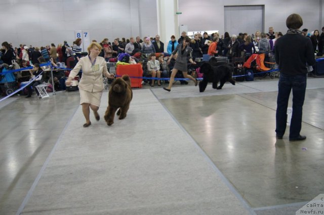 Фотография № 90353