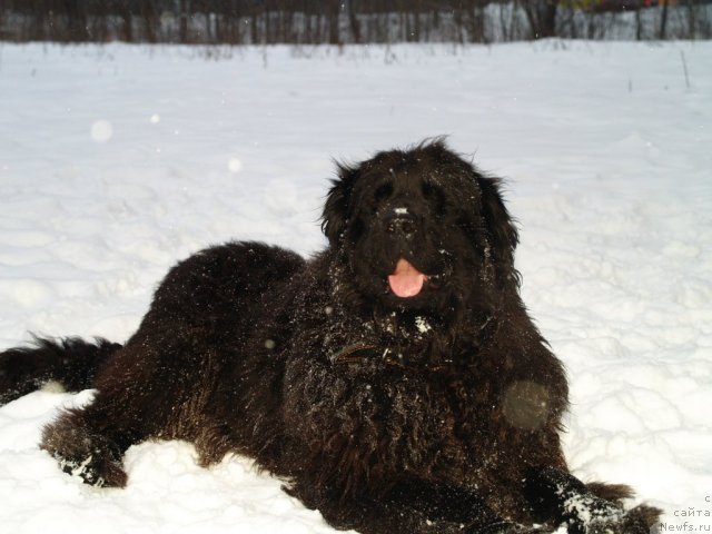 Фотография № 90378