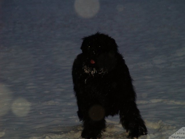 Фотография № 90379