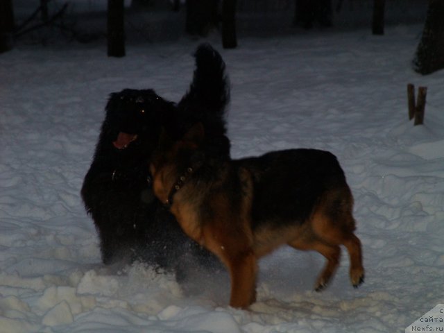 Фотография № 90382