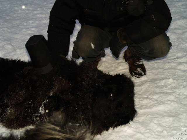 Фотография № 90383