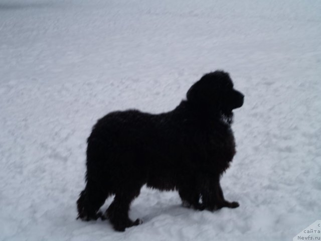 Фотография № 90384