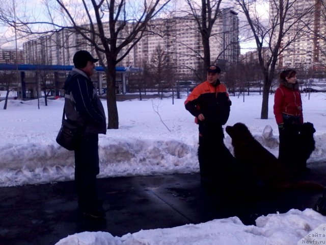 Фотография № 90409