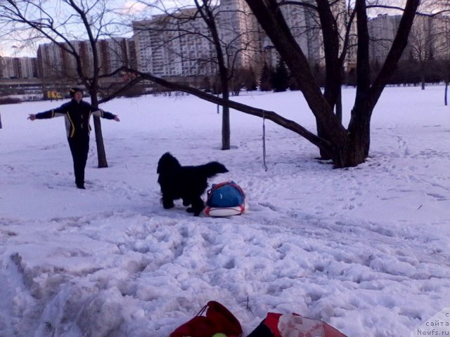 Фотография № 90412