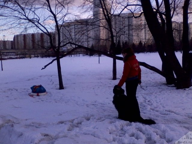 Фотография № 90413