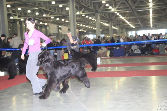 Фотография № 90438