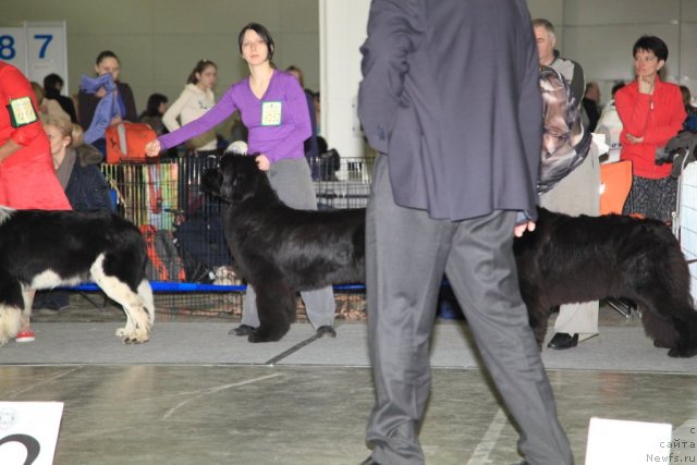 Фотография № 90445