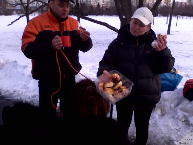 Фотография № 90449