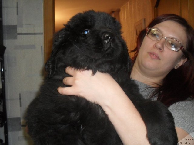 Фотография № 90487