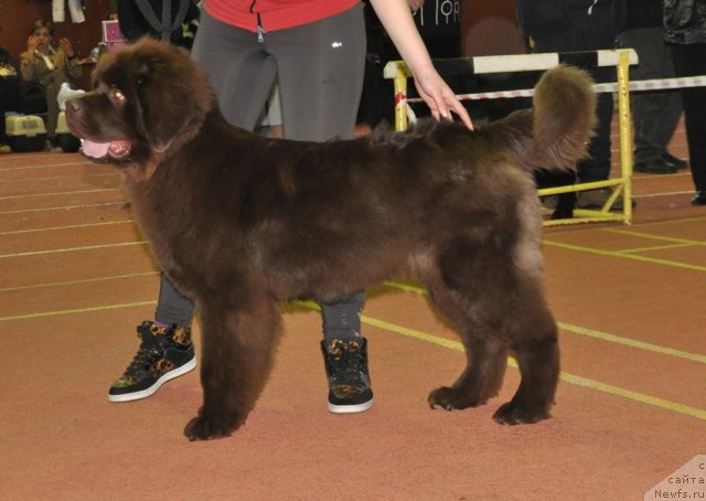 Фотография № 90501