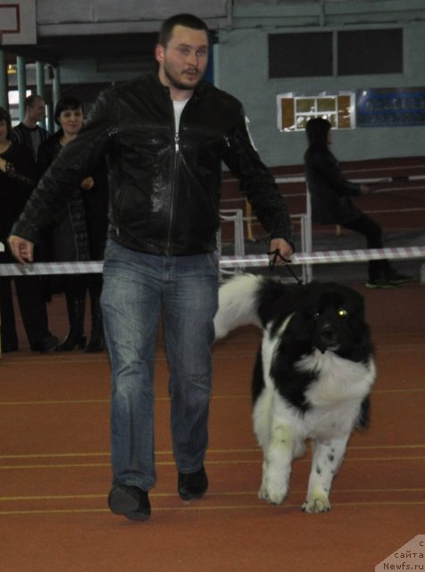 Фотография № 90502