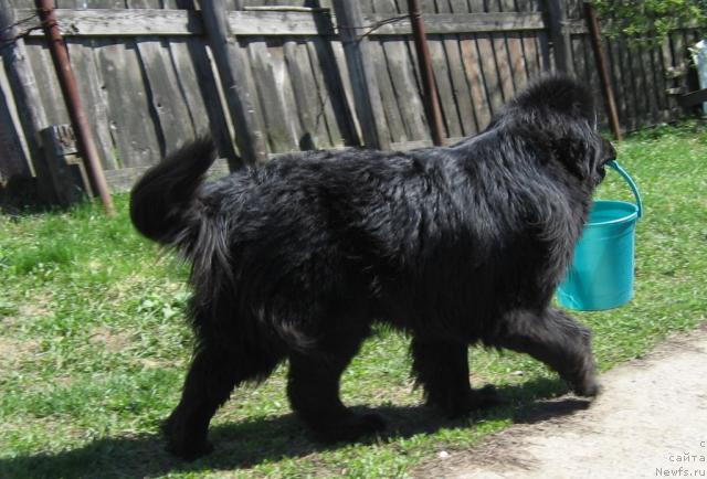 Фотография № 9051