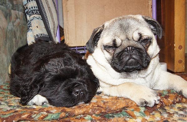 Фотография № 90511