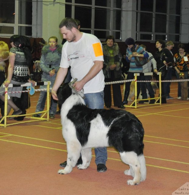 Фотография № 90554