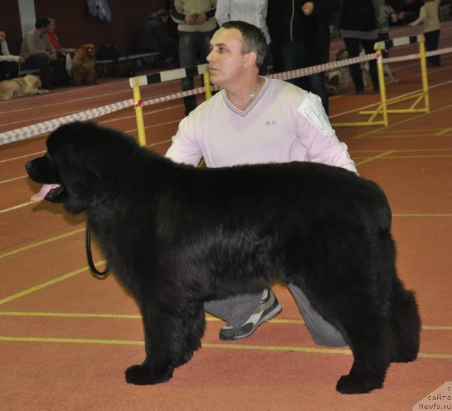 Фотография № 90555