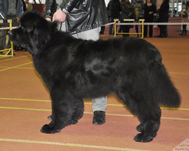 Фотография № 90561