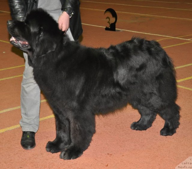 Фотография № 90577