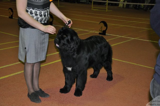 Фотография № 90579