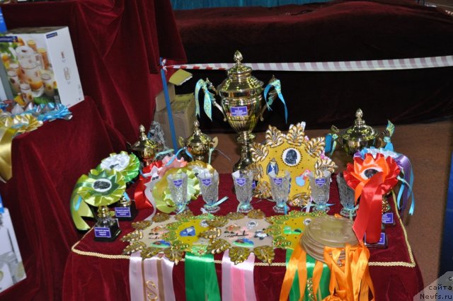 Фотография № 90585