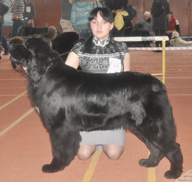 Фотография № 90592