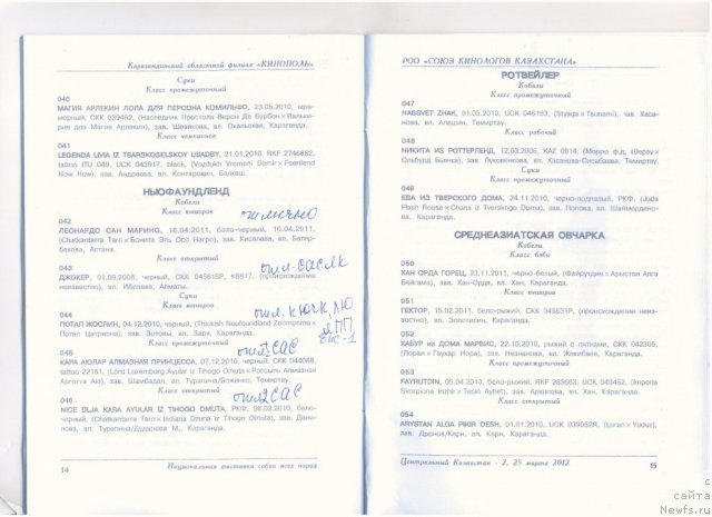 Фотография № 90600