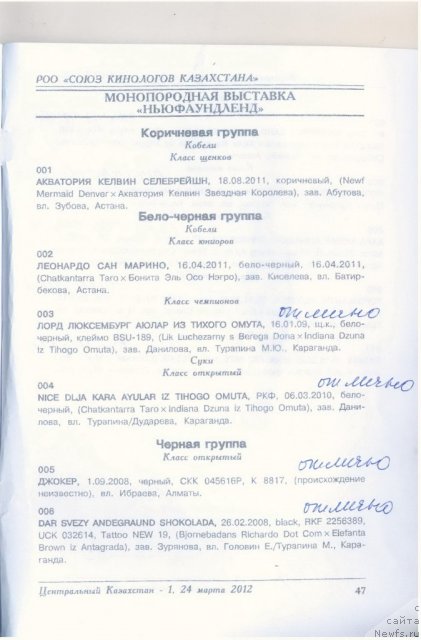 Фотография № 90601