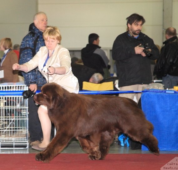 Фотография № 90626