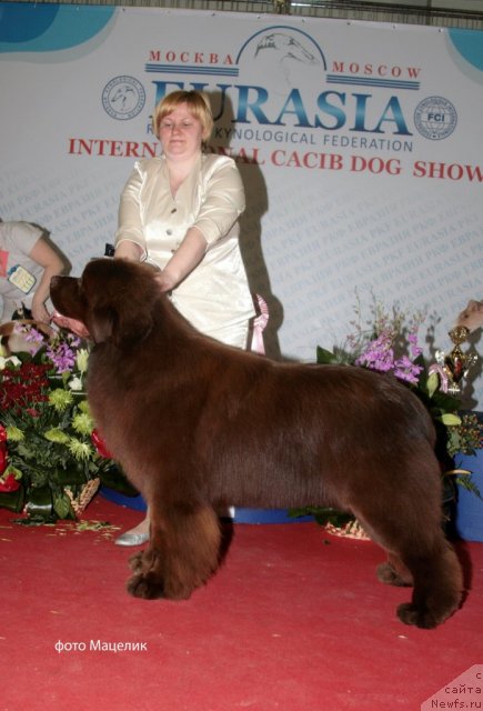 Фотография № 90627