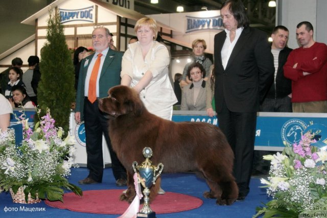 Фотография № 90628