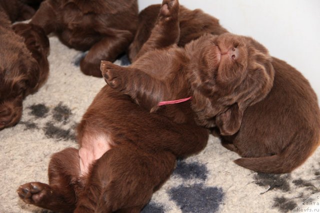 Фотография № 90640