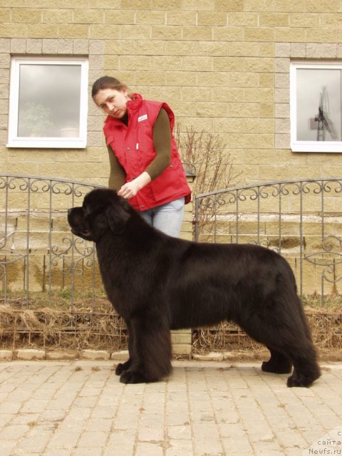 Фотография № 90648