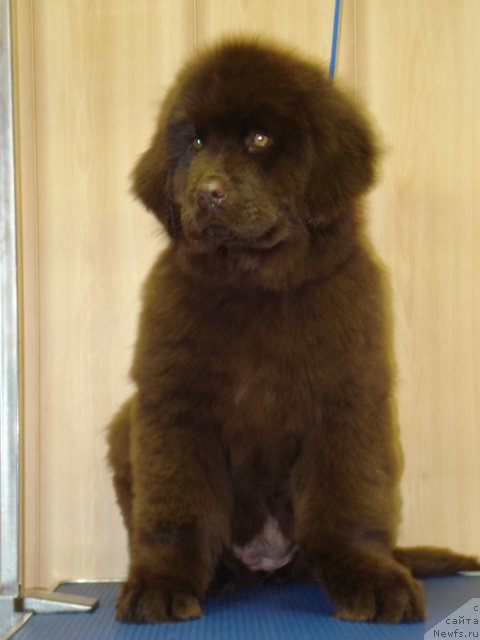 Фото: Ангел Души моей из Аркаима