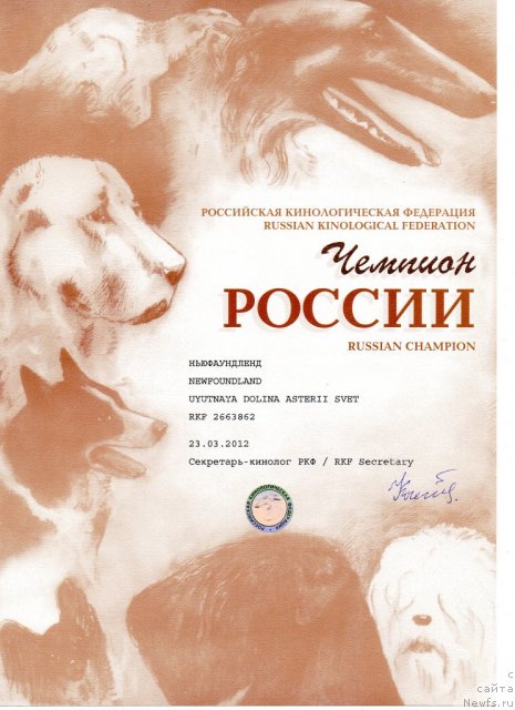 Фото: ньюфаундленд Уютная Долина Астерии Свет (Uyutnaya Dolina Asterii Svet)