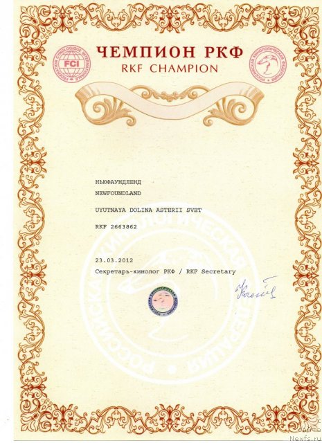 Фото: ньюфаундленд Уютная Долина Астерии Свет (Uyutnaya Dolina Asterii Svet)