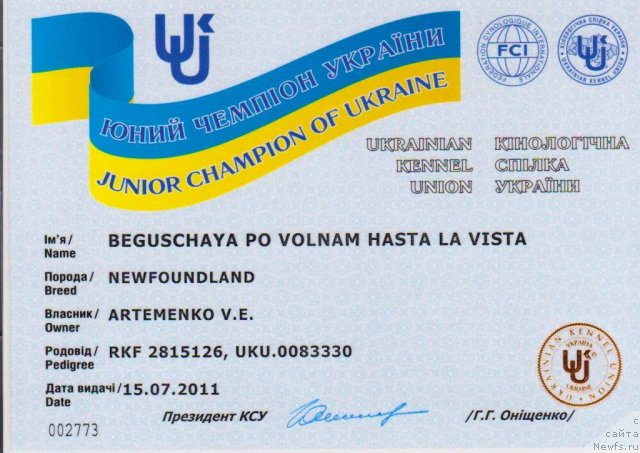 Фото: ньюфаундленд Бегущая по Волнам Хаста ла Виста (Beguschaya po Volnam Hasta la Vista)