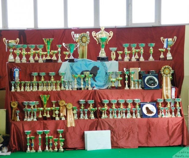 Фотография № 90849