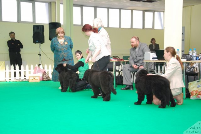 Фотография № 90850