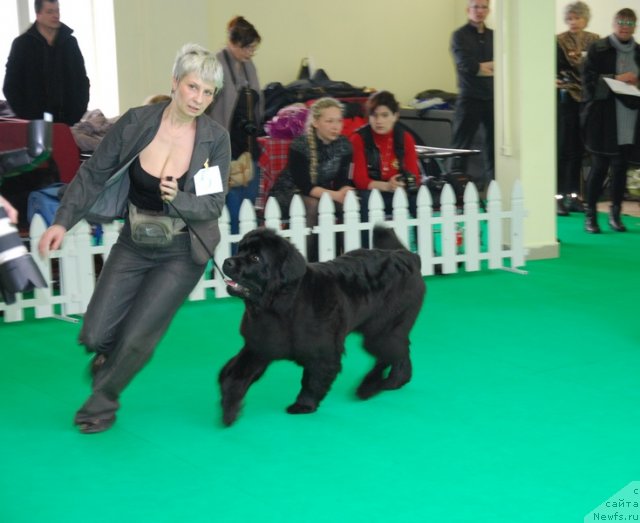 Фотография № 90857