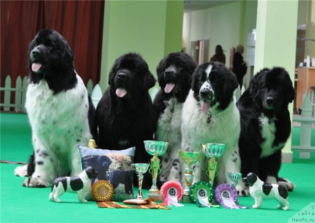 Фотография № 90904